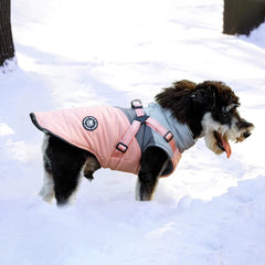 Norbi all-weather dog coat with harness demonstrates upgraded snap-lock zipper for secure closure