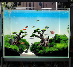 Novelsite bonsai tree silhouette adds a focal point to aquascapes.