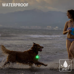 Novkin dog light color-changing mode highlighted for visibility in dark.
