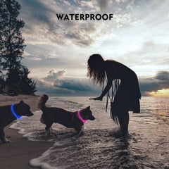 Novkin LED dog collar adjustable-size demonstrates neck fit from small to large dogs.