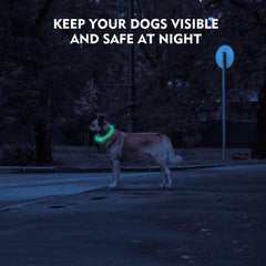 Novkin LED dog collar battery-recharge illustrates fast USB charging and long run time.