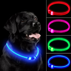 Novkin LED dog collar blue packaging clearly shows brand and features.