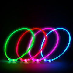 Novkin LED dog collar night-walk hero shows vivid light for safer night strolls.