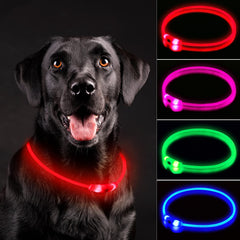 Novkin LED dog collar worn on a red dog improves night visibility for safer walks.