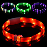 Novkin lighted dog collar with 360-degree illumination for safer night walks and backyard visibility