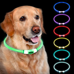 Novkin lighted dog collar blue glow on dog for safer night walks