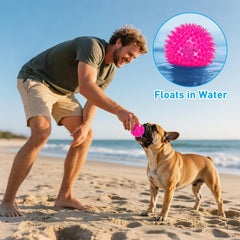 Novkin squeaky-on-impact ball stimulates audible chase