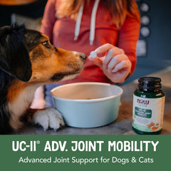 NOW Pets undenatured type II collagen visual explains cartilage-support concept