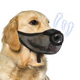 NOWAWEVE dog muzzle with front opening design for breathable walks.