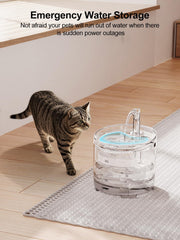 NPET WF050 filter pack highlights water quality and freshness