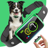 NQQHNN Smart Bark Collar close-up shows beep and vibration training in action.