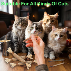NSWXZDS dried matatabi stick showing natural flavor appeal for curious cats.