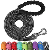 NTR 6ft training leash bone-hook promotes secure, tangle-free walks.