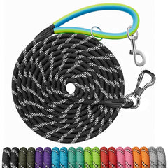 NTR dog leash with dual swivel hooks for confident recall training outdoors.