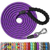 NTR Strong Dog Leash with reflective purple rope for safer evening walks.