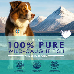 NuLife Natural Pet Health Omega-3 Dogs softgel capsules for convenient dosing.