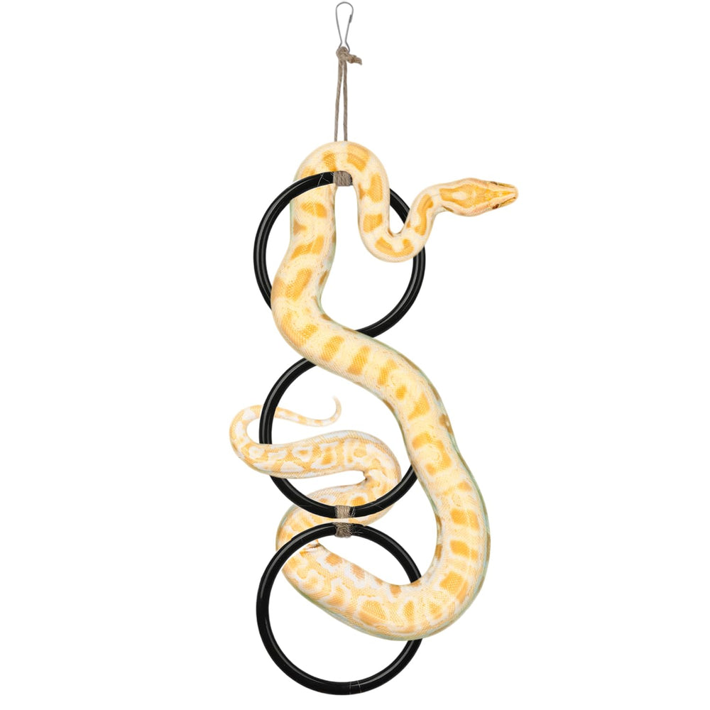 Nuburbur snake enrichment rings in use with ball python for safe, engaging exploration