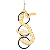 Nuburbur snake enrichment rings in use with ball python for safe, engaging exploration