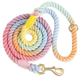 NUGUTIC dog leash Macaron color shown for daily walks with standout style