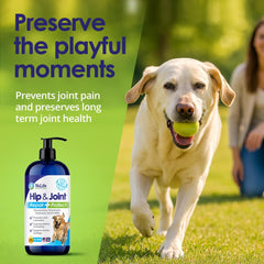 NuLife dog joint supplement ingredients chart includes MSM for improved flexibility.