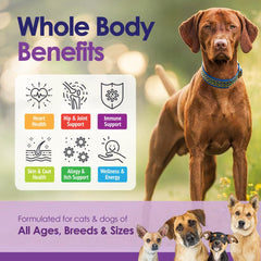 NuLife beef-flavor chews close-up entice dogs while delivering nutrition.