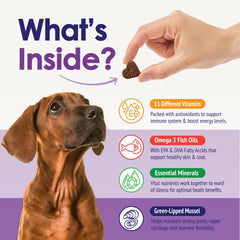 NuLife immune-support chews help maintain natural canine defenses.