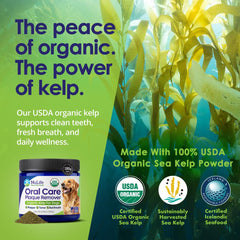 NuLife Organic Kelp Powder for Dogs Icelandic sea kelp bottle highlights nutrition for gums