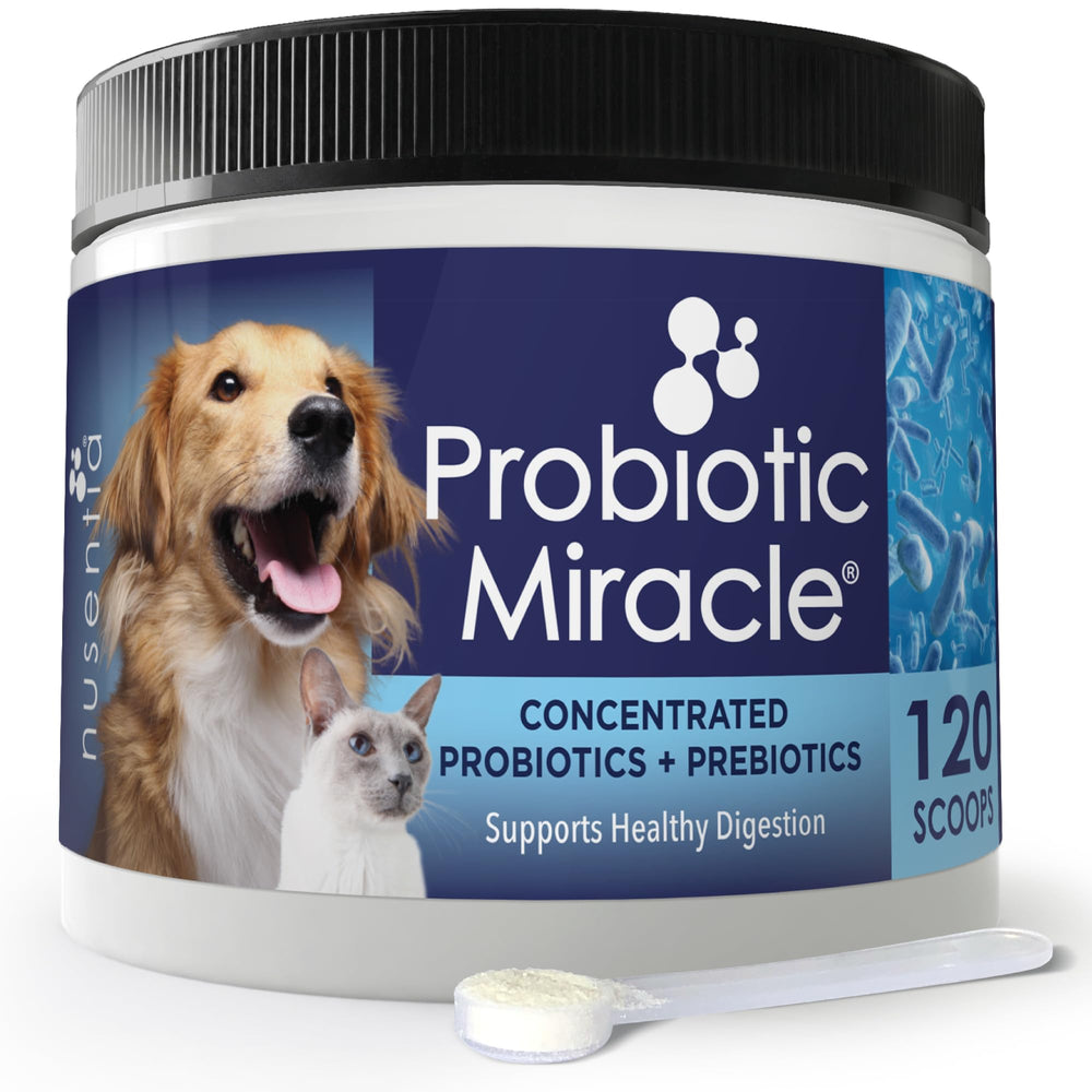 NUSENTIA Probiotics tiny jar shown for cats and dogs supporting digestion and gut balance.