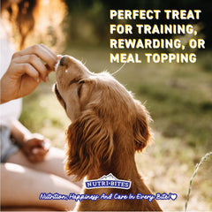 Nutri Bites salmon treats in a bowl ready for training or meal topping.