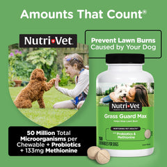 Nutri-Vet Grass Guard probiotic blend supports healthy gut balance and nutrient absorption.