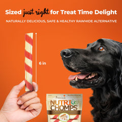NutriChomps rawhide-free digestible chew promotes easy digestion.