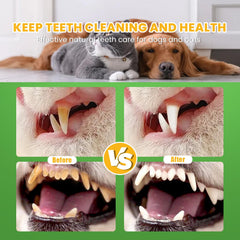 Nutridog powder shown on dog kibble for daily dental care