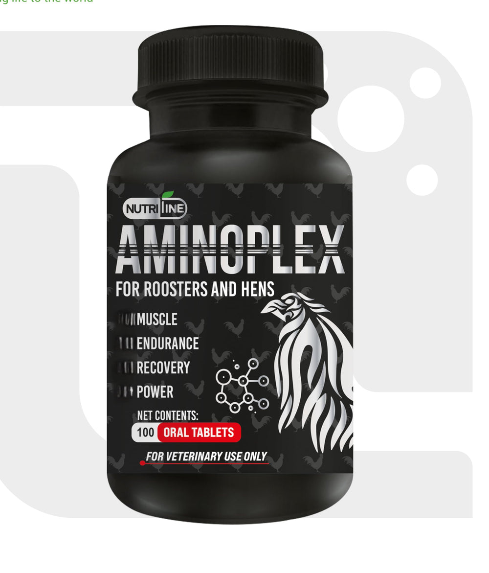Nutri-Line Aminoplex100 tablets in bottle, supporting poultry health during feeding.