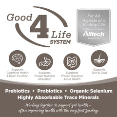NutriSource senior dog kibble closeup emphasizes premium ingredients and gut-friendly prebiotics and probiotics.