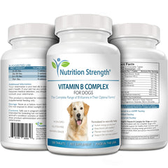 Nutrition Strength dog energy support via cellular production of energy