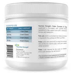 Nutrition Strength Folate for Dogs serving bowl features easy-to-feed chews