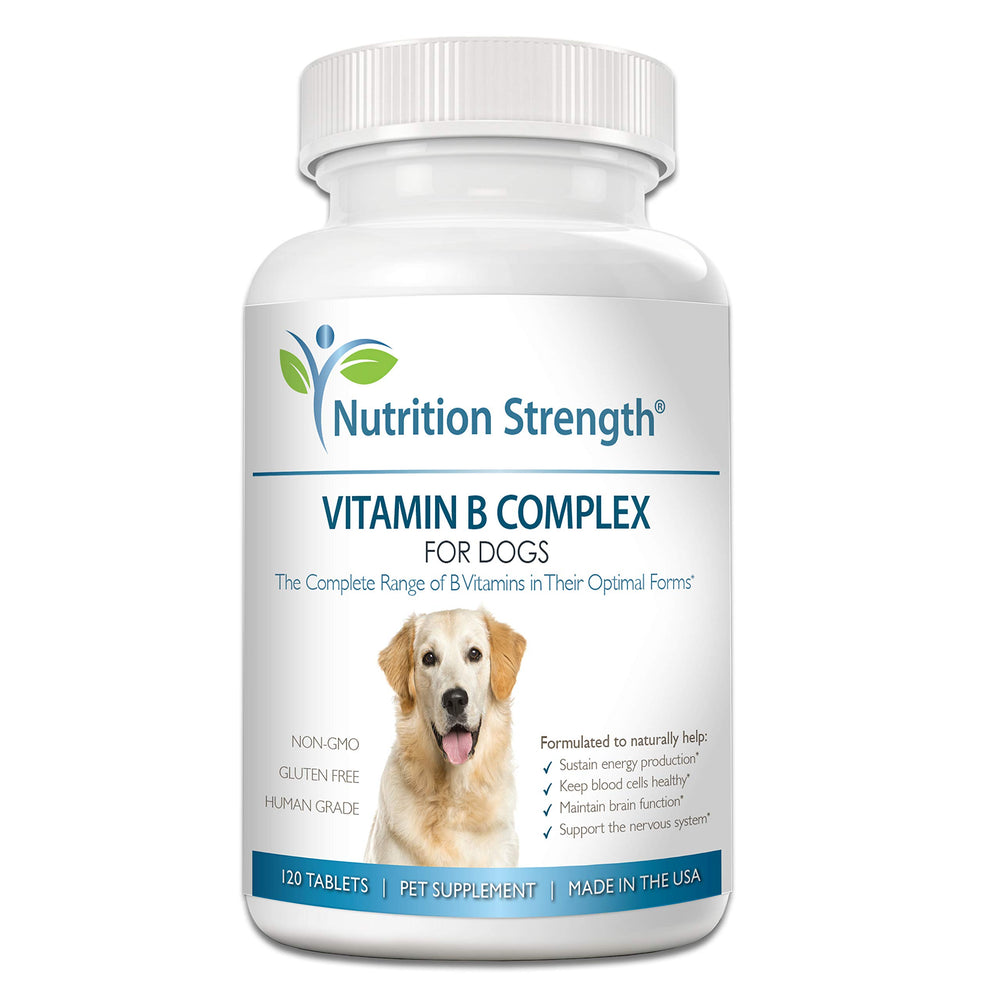 Nutrition Strength Vitamin B for Dogs bottle with chewable tablets supporting energy