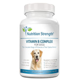 Nutrition Strength Vitamin B for Dogs bottle with chewable tablets supporting energy