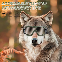 NVTED dog sunglasses anti-fog waterproof closeup indicates reliable clarity.