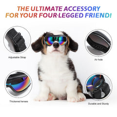 NVTED dog sunglasses wind and debris shield in outdoor use