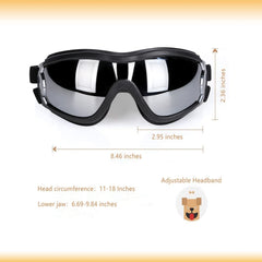NVTED dog sunglasses wind-protection during breezy rides and walks.