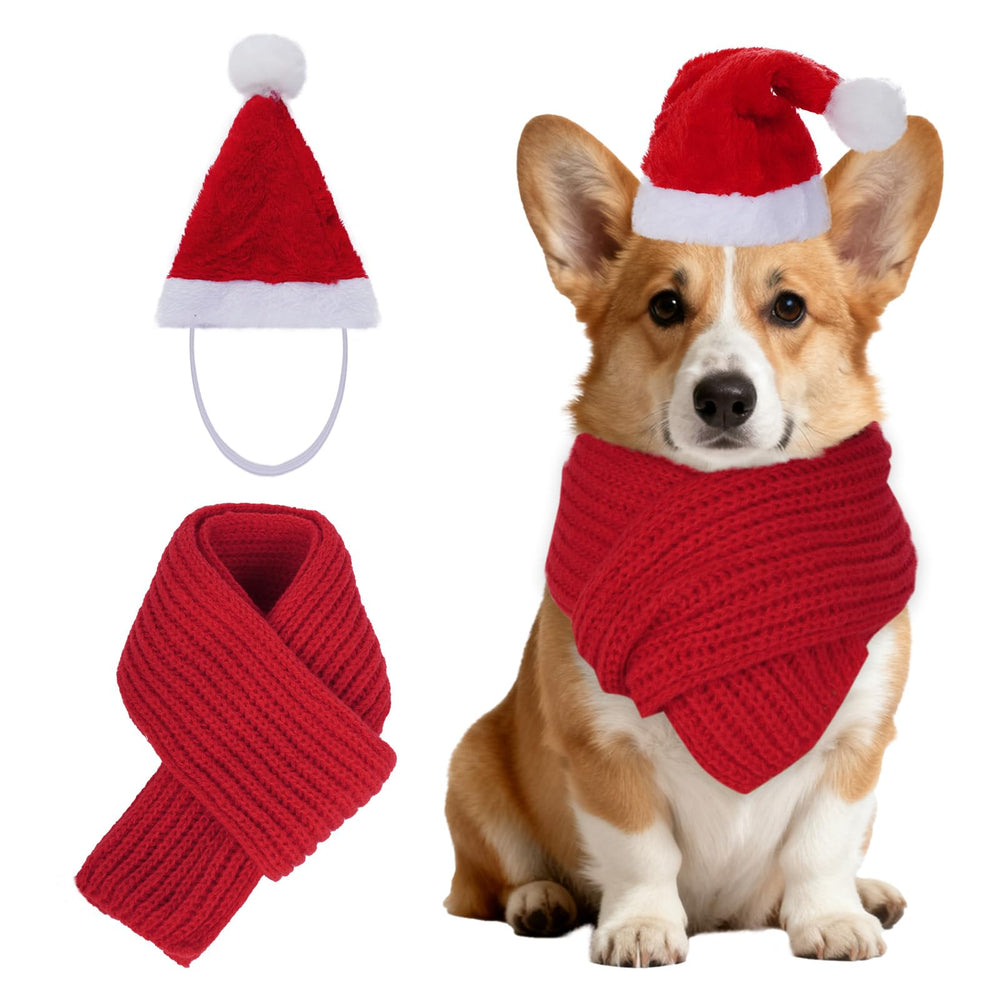 Nydotd dog Christmas Santa hat for festive holiday photos and cute seasonal joy.