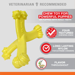 Nylabone Axis Bone Power chew toy nylon material close-up for long-lasting play