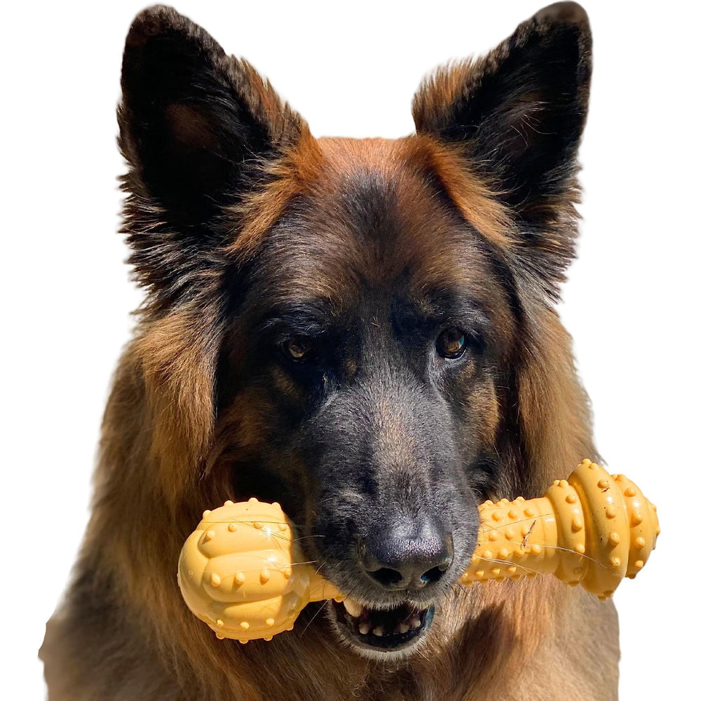 Nylabone Barbell Bone Power Chew Toy close-up shows rugged nylon strength for aggressive chewers