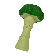 Nylabone Broccoli Power Chew toy in broccoli form for durable chewing sessions