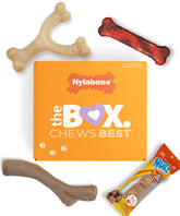 Nylabone caja regalo mordedores para perros pequeños, ideal para entretenimiento diario