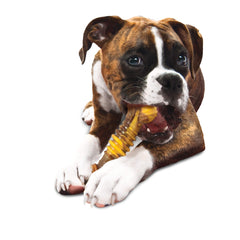Nylabone Flavor Frenzy dental bone textured with nubs for dental care
