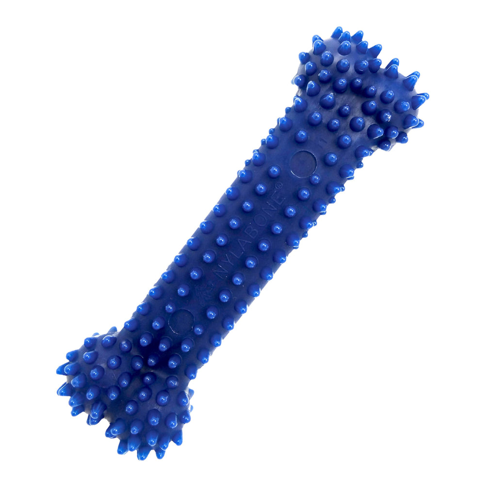 Nylabone Gumabone textured dental bone Flexi Chew Toy small closeup showing nubs for cleaning teeth.