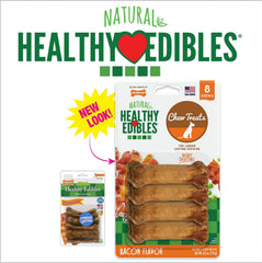 Small dog enjoying Nylabone Healthy Edibles bacon-flavored chew