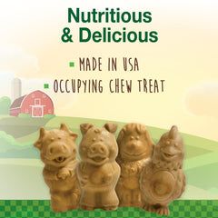 Nylabone Healthy Edibles puppy chew lamb-apple flavor in bowl showing digestible texture